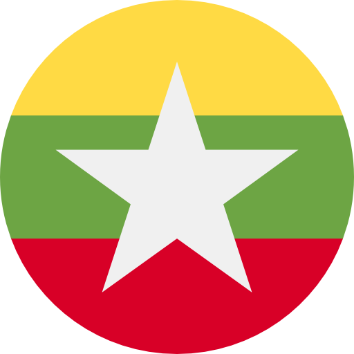 language icon